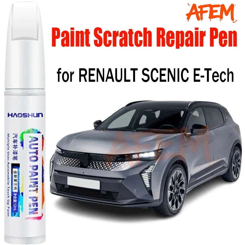עט לתיקון צבע לרנו סניק E-Tech